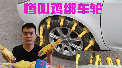 把惨叫鸡绑在车轮上,想想都会觉得很酷,开动起来简直惨不忍睹